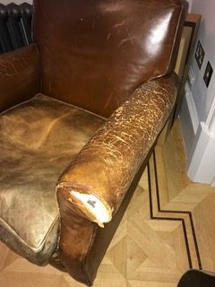 restore old club chair