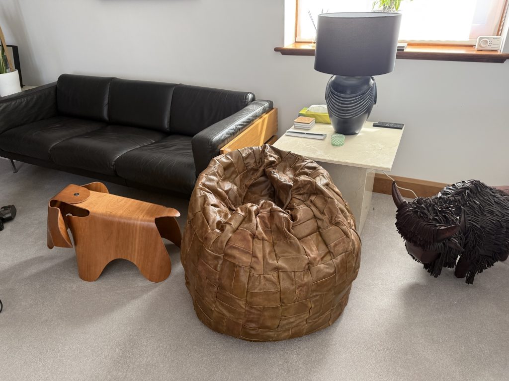 Desede beanbag after restoration